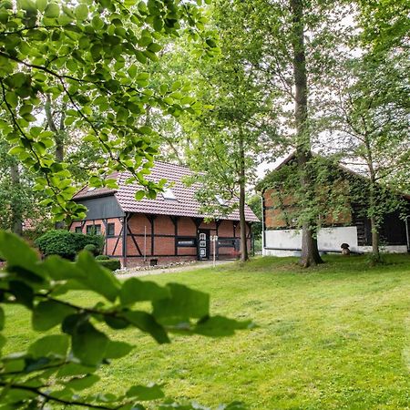 Traumhaftes Anwesen In Der Lueneburger Heide Διαμέρισμα Soltau Εξωτερικό φωτογραφία