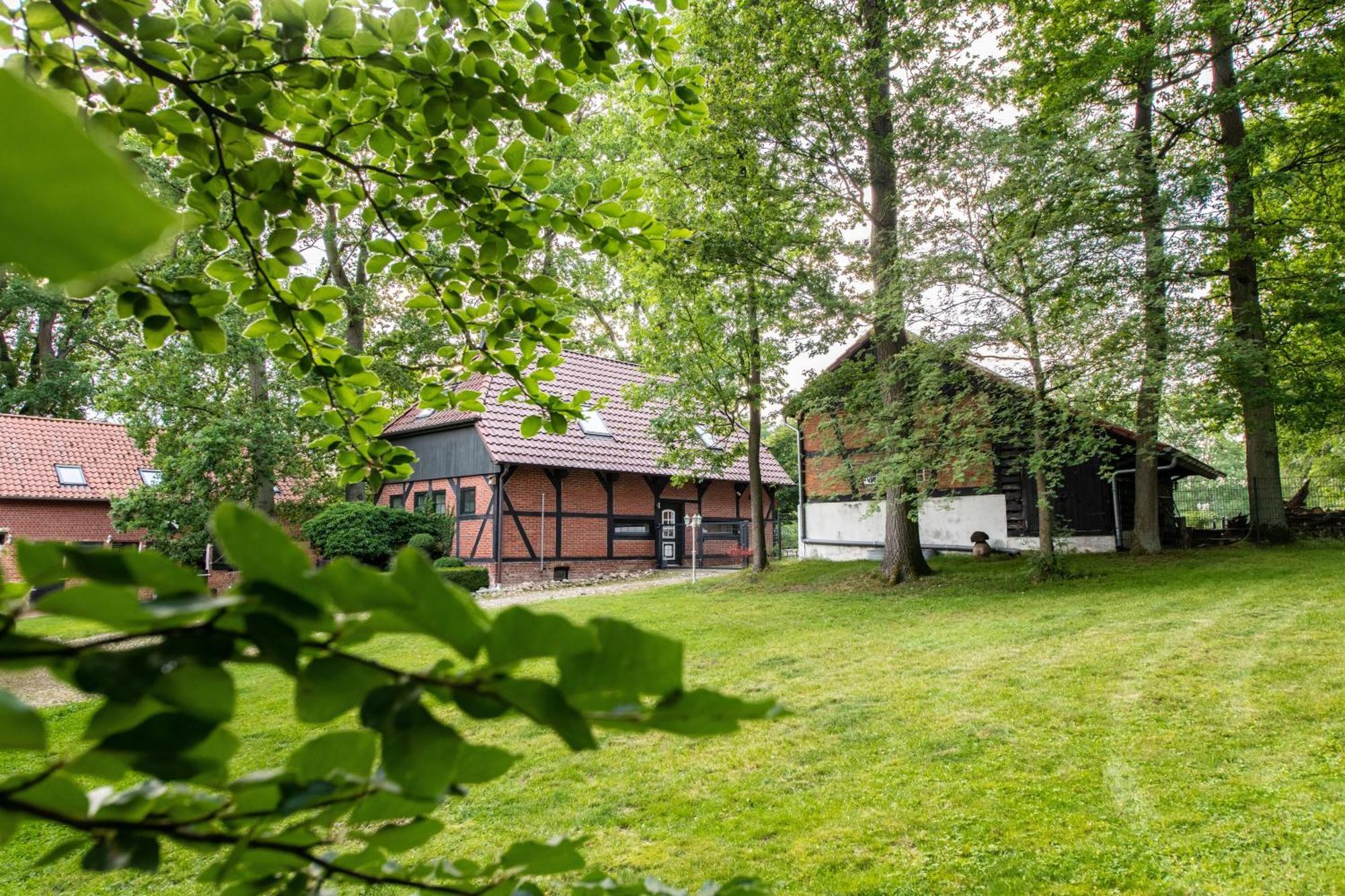 Traumhaftes Anwesen In Der Lueneburger Heide Διαμέρισμα Soltau Εξωτερικό φωτογραφία