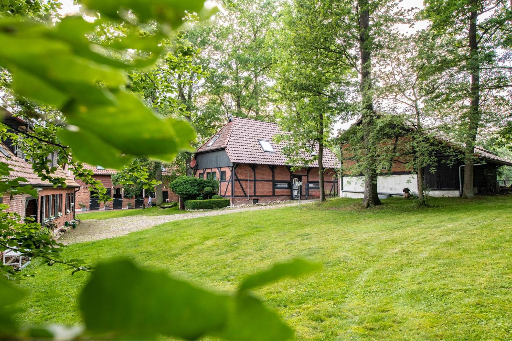 Traumhaftes Anwesen In Der Lueneburger Heide Διαμέρισμα Soltau Εξωτερικό φωτογραφία