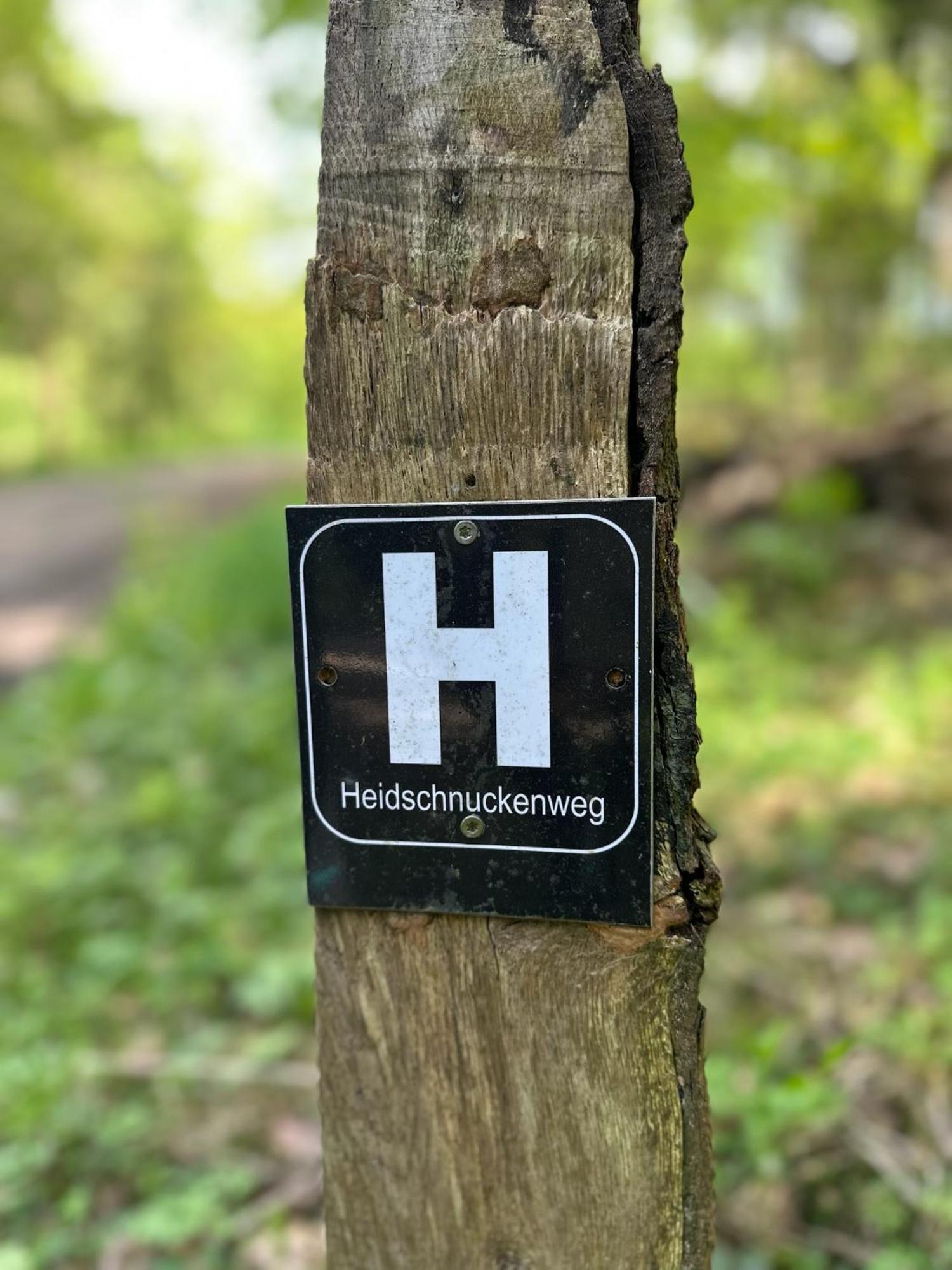 Traumhaftes Anwesen In Der Lueneburger Heide Διαμέρισμα Soltau Εξωτερικό φωτογραφία